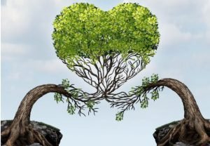 trees growing to make a heart